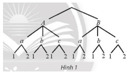 Có ba cái hộp hộp thứ nhất chứa 2 quả cầu dán nhãn A B Hộp thứ hai chứa 3 quả cầu dán nhãn a, b, c