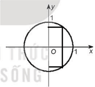 Các đường dưới đây, đường nào không là đồ thị của hàm số ?