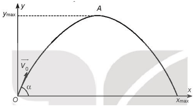 Trong Vật lí ta biết rằng, khi một vật được ném xiên với vận tốc ban đầu v0