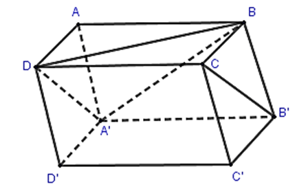 Cho hình hộp ABCD.A'B'C'D'. Hình chiếu song song của điểm B' trên mặt phẳng (ABCD)