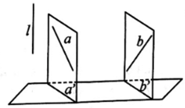 Hình biểu diễn của hai đường thẳng chéo nhau có thể là hai đường thẳng song song được không?