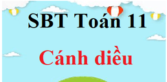 SBT Toán 11 Cánh diều | Giải sách bài tập Toán 11 (hay nhất)