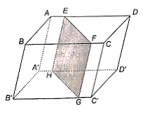 Cho hình hộp ABCD.A'B'C'D'. Một mặt phẳng (P) cắt các cạnh AD, BC, B'C', A'D' lần lượt tại E, F, G, H