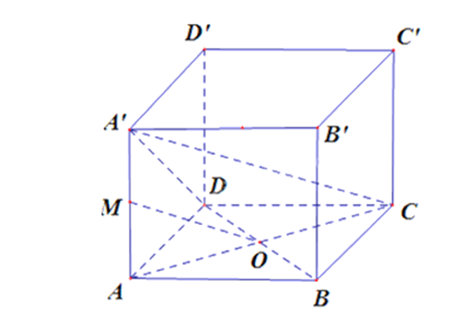 Cho hình hộp ABCD.A'B'C'D', gọi M là trung điểm của AA'