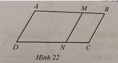 Sách bài tập Toán lớp 6 Bài 3: Hình bình hành | Cánh diều Giải SBT Toán 6