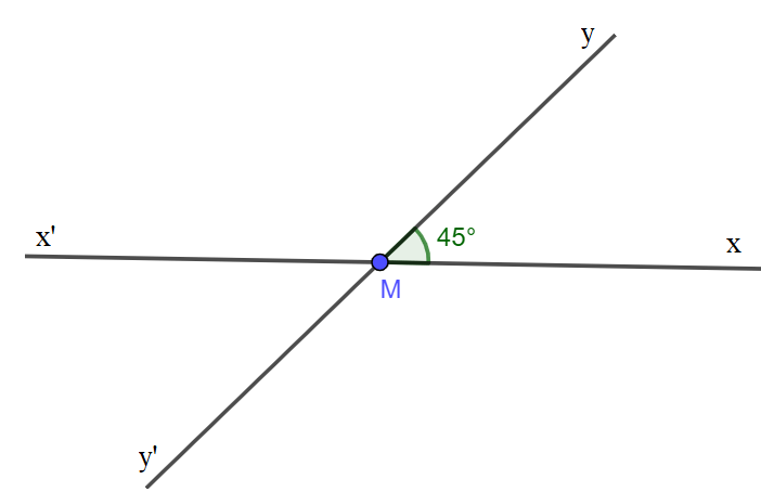 Vẽ góc xMy có số đo bằng 45 độ, sau đó vẽ tia đối Mx’ của tia