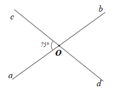 Cho các cặp tia Oa và Ob, Oc và Od là các cặp tia đối nhau