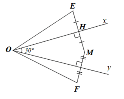 Cho góc nhọn xOy và điểm M nằm trong góc xOy. Gọi E, F là hai điểm nằm ngoài góc xOy