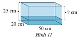 Một bể cá có kích thước như Hình 11, người ta đổ vào đó 6,25 lít nước