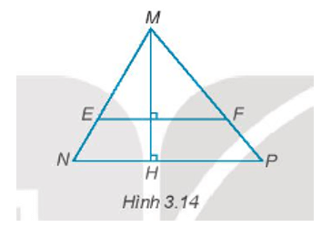 Cho Hình 3.14. Giải thích tại sao EF // NP