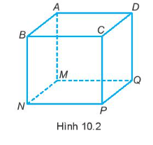 Hình lập phương có bao nhiêu đỉnh?