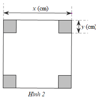 Một miếng bìa có dạng hình vuông với độ dài cạnh là x (cm)