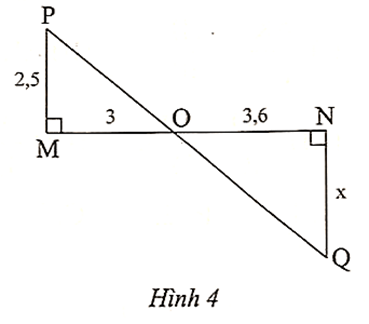 Độ dài x trong Hình 4 là