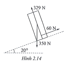 Hình 2.14 biểu diễn các lực tác dụng lên một vận động viên trượt tuyết khi đang tăng tốc xuống dốc