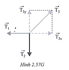 Một học sinh kiểm tra lại quy tắc tổng hợp lực đồng quy bằng cách bố trí thí nghiệm