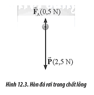 Một hòn đá được thả rơi vào chất lỏng. Sau một khoảng thời gian, người ta quan sát