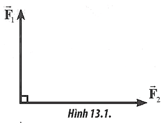 Hai lực có giá đồng quy vuông góc có độ lớn các lực thành phần (ảnh 1)