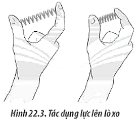 Hãy vẽ vectơ biểu diễn lực do tay tác dụng lên lò xo để lò xo có biến dạng nén (ảnh 2)