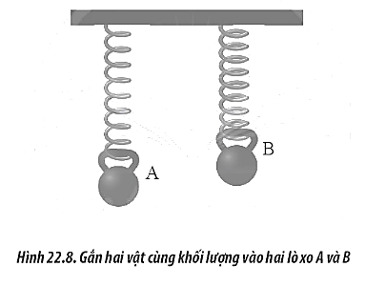 Một học sinh thực hiện thí nghiệm như Hình để đo độ cứng của hai lò xo A (ảnh 1)