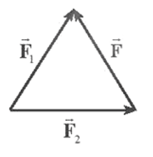 Hình vẽ nào sau đây biểu diễn đúng lực tổng hợp của hai lực (ảnh 2)