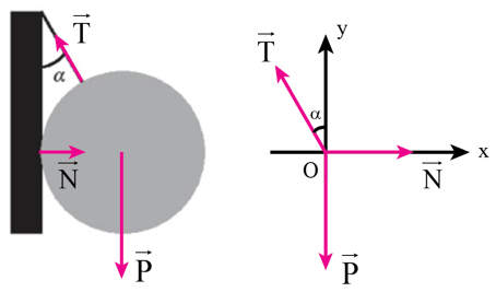 Một quả cầu có trọng lượng P bằng 40N được treo vào tường nhờ 1 sợi dây (ảnh 2)