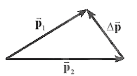 Trong các hình dưới đây các hình vẽ nào biểu diễn đúng vectơ độ biến thiên động lượng (ảnh 1)