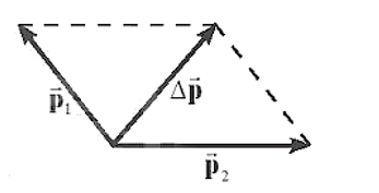 Trong các hình dưới đây các hình vẽ nào biểu diễn đúng vectơ độ biến thiên động lượng (ảnh 2)