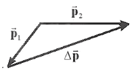 Trong các hình dưới đây các hình vẽ nào biểu diễn đúng vectơ độ biến thiên động lượng (ảnh 4)