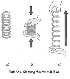 Chọn các nhận xét đúng về biến dạng của lò xo trong Hình 22 1, biết Hình 22 1a thể (ảnh 1)