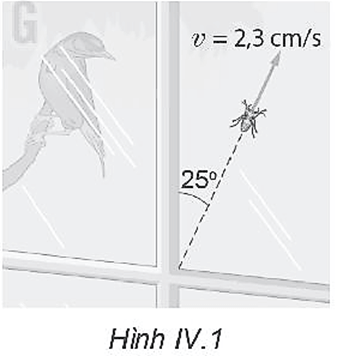 Một con nhện có khối lượng 0,42 g bò trên bề mặt kính cửa sổ một ngôi nhà