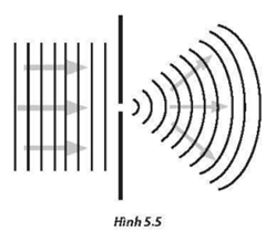 Khi sóng nước truyền qua một kẽ hở giữa một dải đất như Hình 5.5, sẽ có hiện tượng