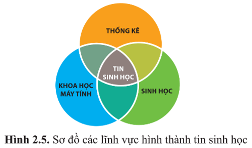 Quan sát hình 2.5, cho biết tin sinh học là gì