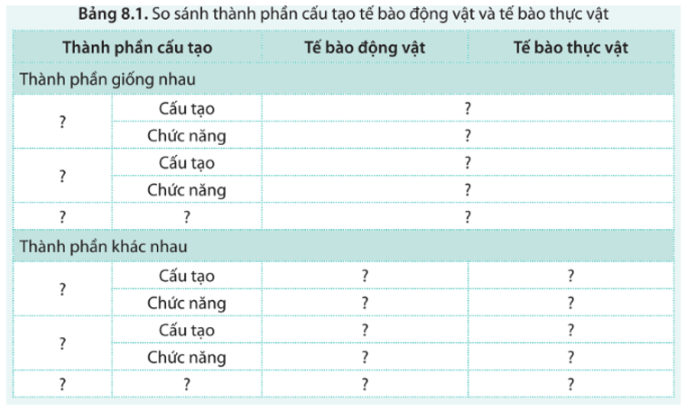 Nêu cấu trúc và chức năng của các thành phần cấu tạo tế bào động vật