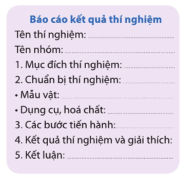 Vi khuẩn lên men dưa chua có từ những nguồn nào?