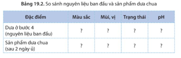 Vi khuẩn lên men dưa chua có từ những nguồn nào?