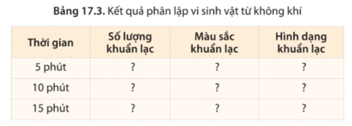 Tại sao lại mở nắp đĩa petri và để trong không khí 5, 10 và 15 phút? 