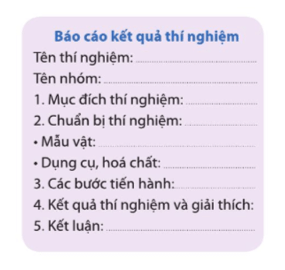 Em có nhận xét gì về đặc điểm hình dạng, kích thước của nấm mốc, nấm men và vi khuẩn?