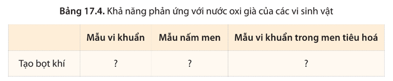 Trình bày cơ chế hình thành bọt khí