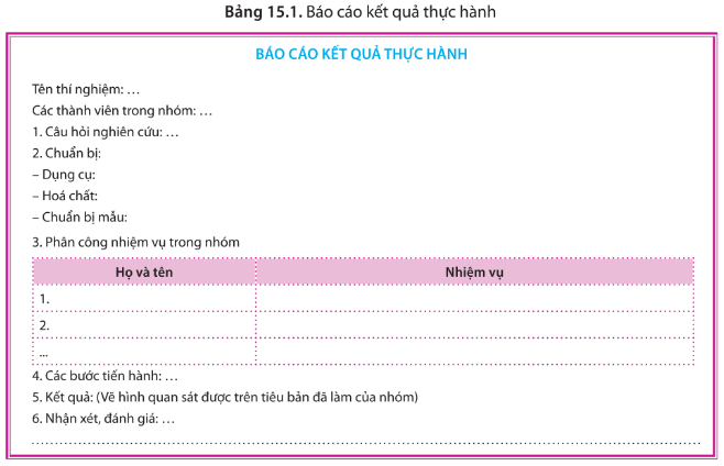 Báo cáo kết quả thực hành theo bảng 15.1