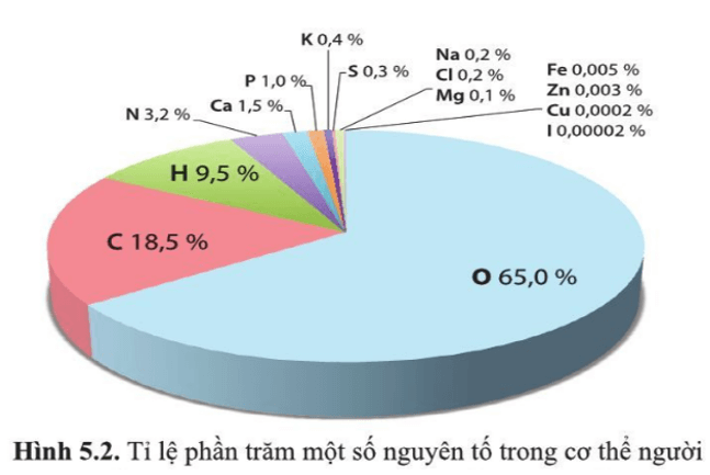 Cho biết mỗi nguyên tố trong hình 5.2 thuộc nhóm nguyên tố đại lượng hay vi lượng