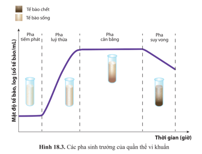 Từ các thông tin mô tả trong hình 18.3 và bảng 18.1, cho biết