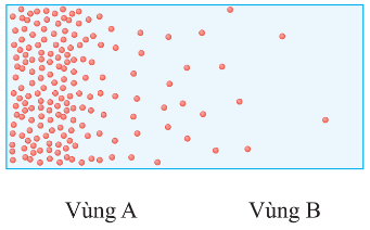 Quan sát hình 9.2 và cho biết