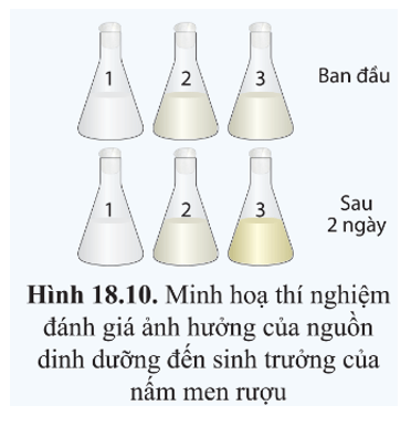 Thí nghiệm đánh giá ảnh hưởng của nguồn dinh dưỡng 