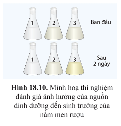 Nếu bổ sung thêm một lượng lớn NaOH (ví dụ khoảng 4 g) vào bình 