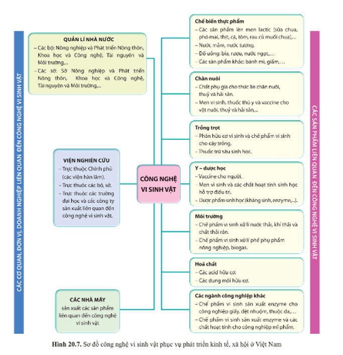 Quan sát hình 20.7: Cho biết người hoạt động trong lĩnh vực công nghệ vi sinh vật 