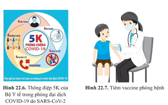 Các hình 22.6 và 22.7 là những thông điệp của Bộ Y tế 