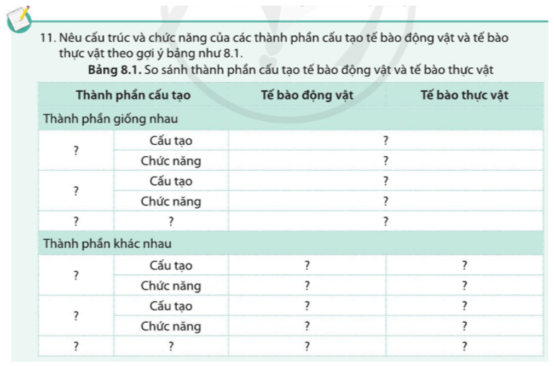 Nêu cấu trúc và chức năng của các thành phần cấu tạo tế bào động vật