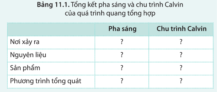 Hãy lựa chọn thông tin phù hợp để hoàn thành bảng 11.1