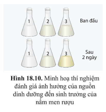 Từ kết quả thí nghiệm trong hình 18.10, hãy cho biết