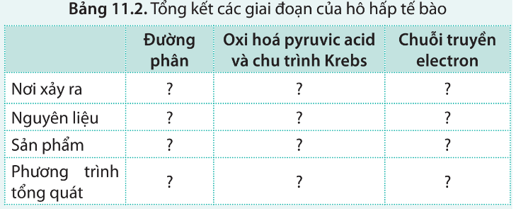 Hãy lựa chọn thông tin phù hợp để hoàn thành bảng 11.2